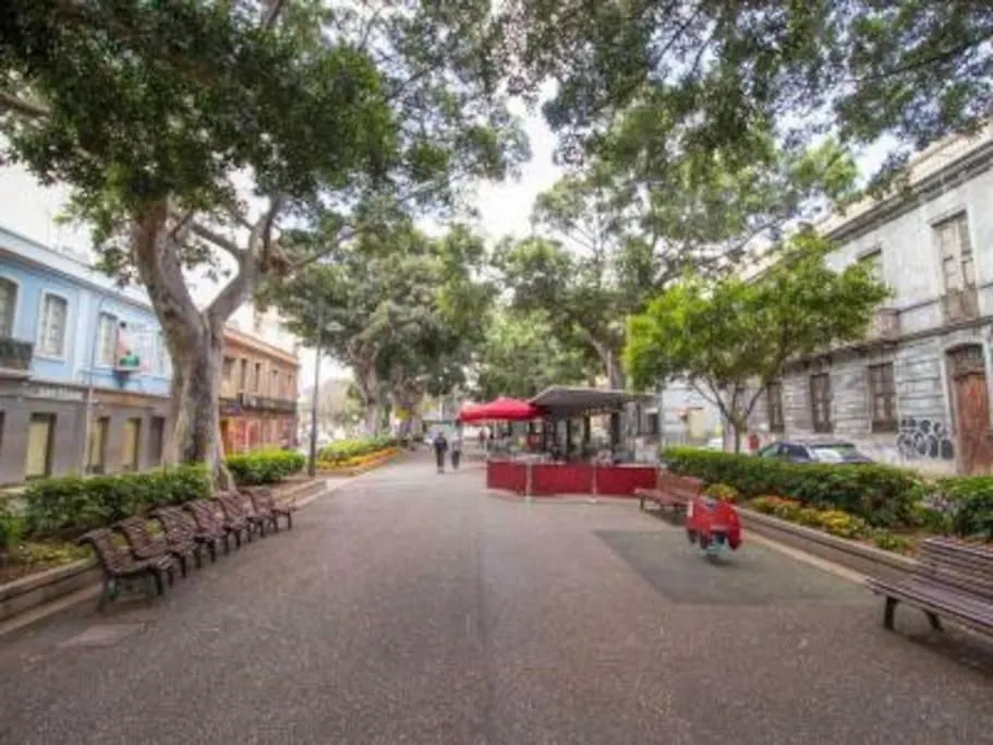 Bright Lovely Quiet Flat Very Centric In Sc 圣克鲁斯-德特内里费